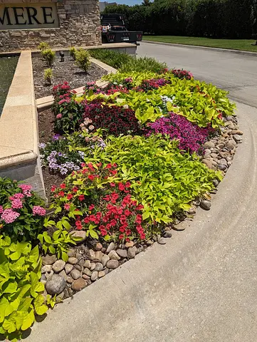 Landscaped bed with colorful flowers and shrubs along a curved sidewalk