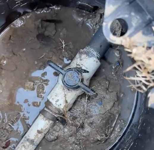 Sprinkler head in a North Texas lawn