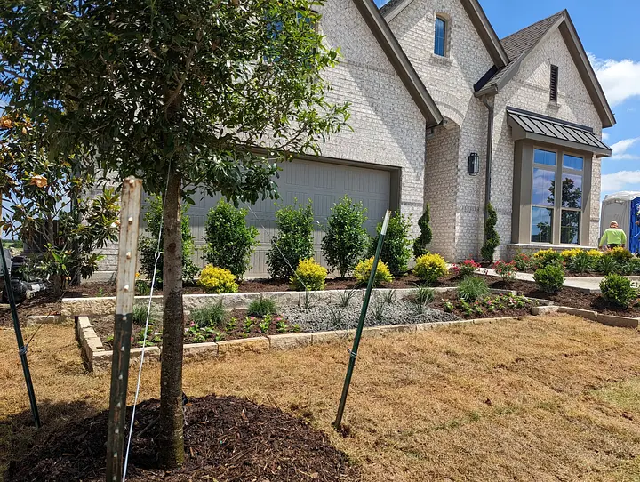 Modern house with a landscaped front yard, featuring plants and a tree, under a clear blue sky.