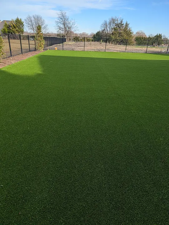 A lush green lawn with a black fence and trees in the background under a clear blue sky.