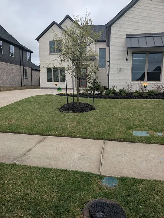 Modern house with white brick, black roof, small tree, and landscaped front yard on a cloudy day.